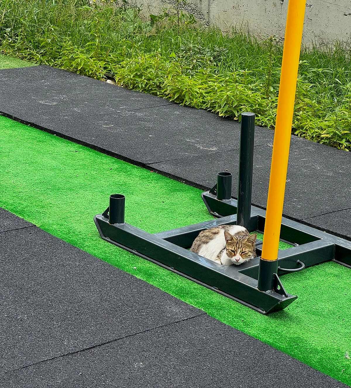 FONKSİYONEL ANTRENMAN (FUNCTIONAL TRAINING)