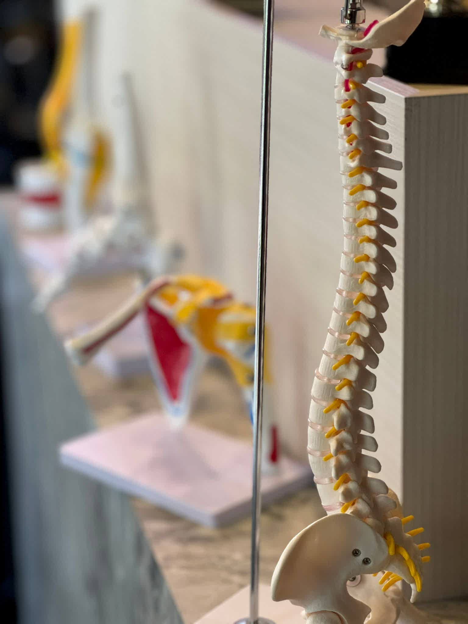 Duruşun, Yaşam Kaliten